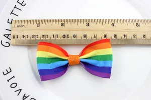 Macro-opname van een 3-inch regenboog grosgrain strik accessoire op een meetschaal