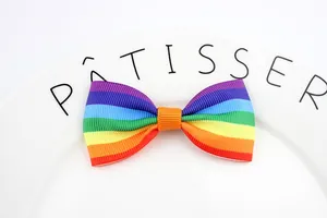 Detailopname van een regenboog strik van ripslint op een wit keramisch bordje