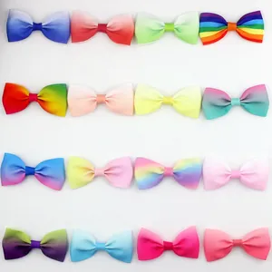 Set van 16 kleurrijke 8 cm regenboog grosgrain lint strikken voor tassen en haar