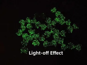Luminous glowing stones for DIY crafts and shoe accessories shown in lights off effect