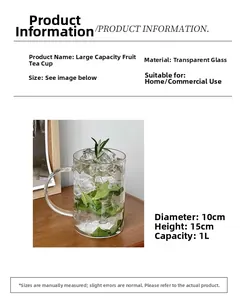 Detailed view of 1000ml glass fruit tea cup with handle showing 10cm wide diameter