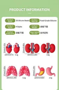 3D human organ silicone beads showing detailed heart, kidney, lung, and stomach shapes