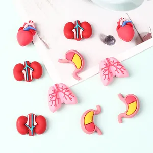3D silicone beads shaped like human organs including heart, lungs, stomach, and kidneys