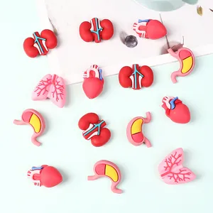 Set of 3D medical organ silicone beads featuring heart, lungs, kidneys and stomach designs