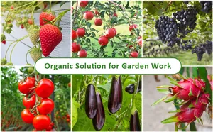 Nylon mesh bags protecting various fruits like grapes and strawberries from garden pests
