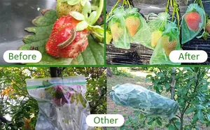 Detail of garden fruit protection mesh bag with drawstring for insect and bird control