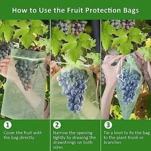 Three-step guide for light green mesh fruit protection bags with drawstring for grapes