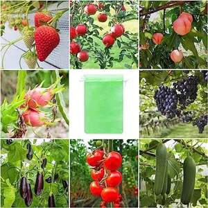 Green mesh fruit protection bags with drawstring for bird and pest control in gardens