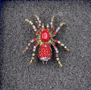 Macro shot of spider brooch with red gemstone and crystals on golden finish