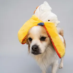 Detailed view of plush creative pelican animal hat on a dog in an outdoor park setting