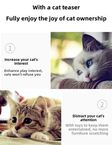 Cat wand toy detail showing happy cats interacting to prevent furniture scratching