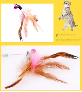 Detail of colorful pet cat teaser wand with feathers, purple bell and decorative beads