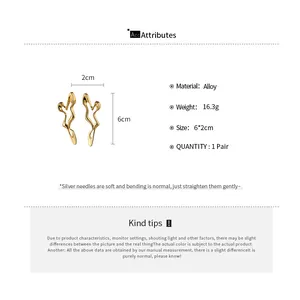 Detailed product specifications for irregular gold alloy hollow earrings with dimensions.