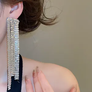 Close-up of elegant silver mesh tassel earrings worn by a model for a banquet look.
