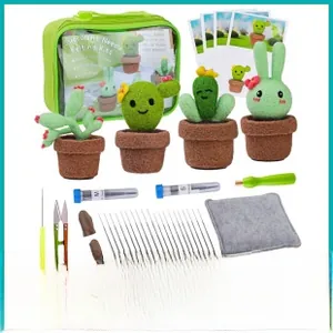 Detail view of the complete DIY needle felting kit with succulent designs and crafting tools