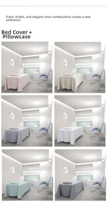 Set of minimalist beauty bed covers and pillowcases in six soft colors for salons