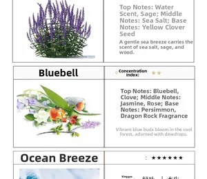 Detailed scent profiles showing notes of Blue Bell, Sea Salt, and Ocean Breeze for candles
