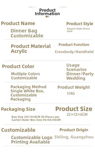 Macro view of product specifications for acrylic evening bag with dimensions 22x12x6cm