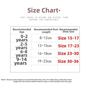 Detailed size chart for girls summer mesh socks showing age, foot length and shoe sizes