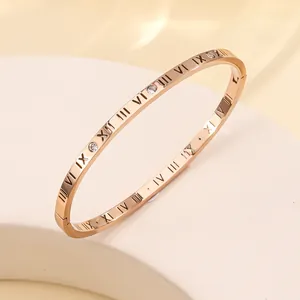 Close-up of rose gold titanium steel bangle with Roman numerals and inlaid zircons