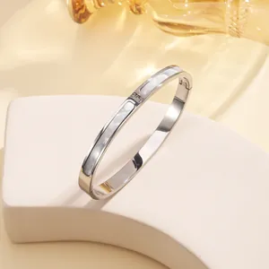 Close-up of polished titanium steel bracelet with shell inlay and zircon accents