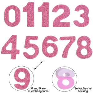 Pink glitter self-adhesive number stickers for pet birthday hats including interchangeable 6 and 9