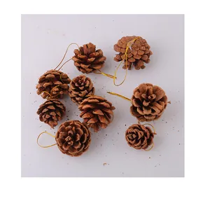 Close-up of 9 natural pine cones with gold hanging strings for Christmas tree decor