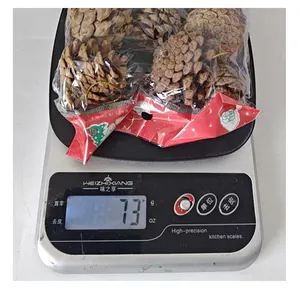 Detail view of 9-piece natural pine cone set on scales weighing 73g for Christmas decor