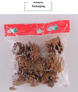 Set of natural brown pine cones with gold hanging strings in Christmas themed packaging
