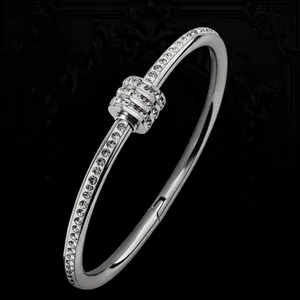 Macro shot of silver titanium steel bangle with sparkling cubic zirconia pavé details
