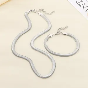 Parure de bijoux minimaliste en acier argenté avec chaîne serpent plate collier et bracelet