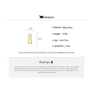 Detailed size and material chart for zircon keyhole brooch, 6cm x 3cm