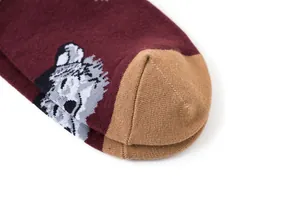 Gros plan de chaussettes à motif chien avec pointe renforcée kaki et coton bordeaux