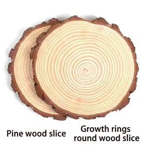 Natural round pine wood slices with tree bark and annual rings for DIY crafts