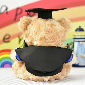 Vista posteriore di un orsetto di laurea in peluche con tocco e toga accademica neri