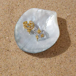 Detailopname van stervormige ringen op een schelp en zand, titanium staal
