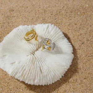 Detailweergave van achtpuntige sterringen met zirkoon in goud en zilver op koraal achtergrond