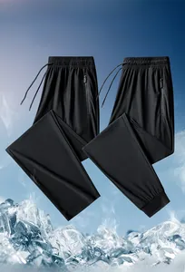 Detail der Herren-Eisenseidenhose mit elastischem Kordelzug und seitlicher Reißverschlusstasche