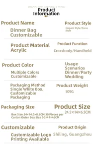Acryl Abendtasche Maße 24,5x14x6,5cm und 509g Gewicht in der Detailansicht