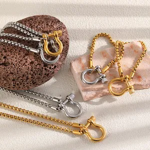 Collana a catena box con fibbia a ferro di cavallo in acciaio oro e argento