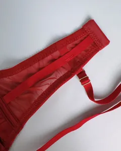 Detail of red mesh lingerie with lace strap and gold adjustable metal buckle