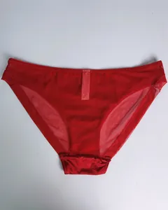 Detailed view of red semi-transparent mesh lace panties with soft silk gusset fabric