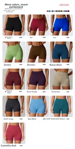 Collage de shorts de yoga sans couture taille haute en 13 couleurs vibrantes