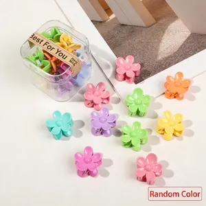 Macro view of colorful macaron flower mini hair clips in a clear storage box
