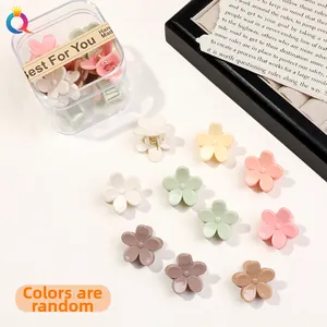 Macro shot of colorful flower mini claw clips in a transparent gift storage box