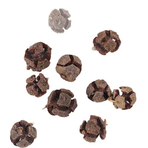 Natural dried cypress cones in dark brown with rustic cracks for Christmas decor