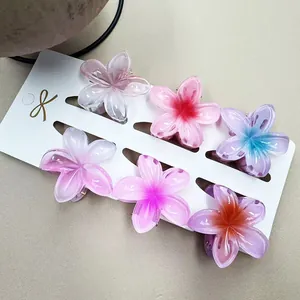 Set aus sechs Haarspangen mit Harzblumen und Farbverlauf auf einer weißen Displaykarte