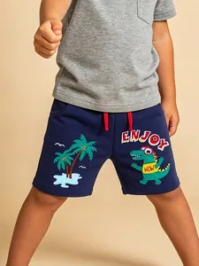 Boys Casual Cotton Shorts Cartoon Dinosaur Embroidery Beach Pants Summer Kids Toddler Knit Shorts With Red Drawstring