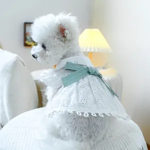Detail of white lace pet dress featuring hollow floral patterns and blue bow tie