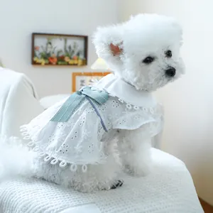 Detail of white lace dog dress with mint green ribbon bow and scalloped edges